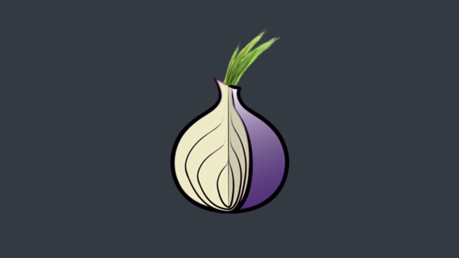 Banner principale tor browser per navigare anonimi